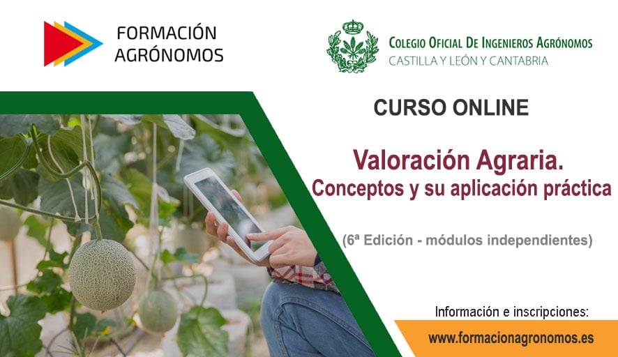 curso-valoracion-2025